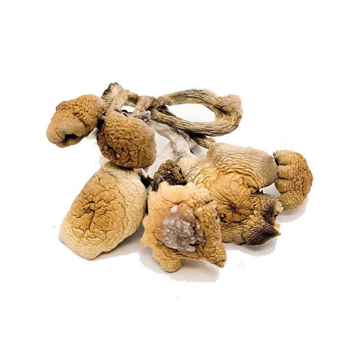 Buy B+ Magic Mushrooms For Sale Australia